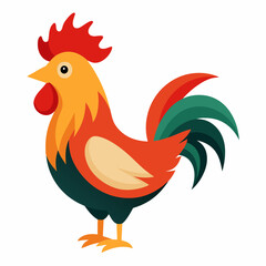 rooster isolated on white background