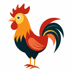 rooster isolated on white background