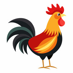 rooster isolated on white