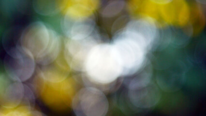 Vintage lens bokeh, nature out of focus, abstraction for background, circles of blur and glare