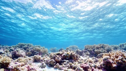 Fototapeta premium Vibrant underwater scene showcasing a coral reef with sunlight filtering through the crystal-clear water.