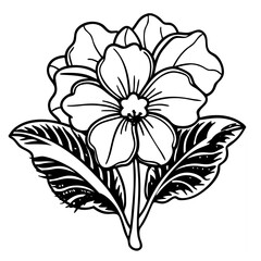 Primrose flower line art vector 