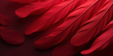 Crimson Feathers A Close-Up Study of Delicate, Richly Colored Plumage with Soft Lighting and Subtle Shadows
