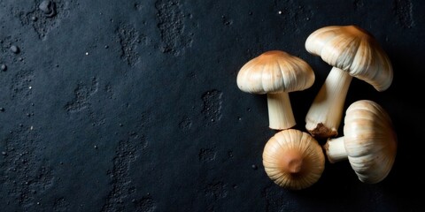 Gourmet Mushrooms on Dark Textured Surface A Culinary Still Life Featuring Delicate Fungi