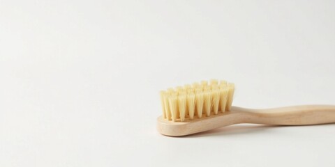 A close-up view of a wooden-handled brush with natural bristles, isolated on a bright white background