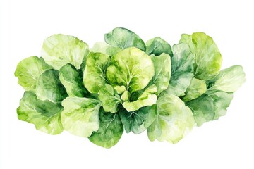 Obraz premium Fresh Organic Vegetables in Watercolor: A Vibrant Nature Illustration on White Background