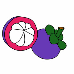 Mangosteen 