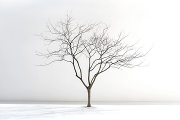 Solitary Bare Tree in Minimalist Winter Landscape - Ideal for Print or Poster Design