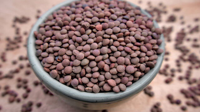 Brown Lentils (Sabut Masoor) in a Blue Bowl - Rustic Isolated Close-Up Shot