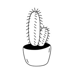 Vector illustration of a Trichocereus in the doodle style. Isolate on a white background