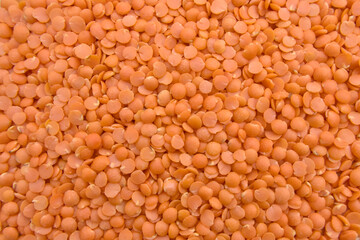 Full Frame Red Lentils (Masoor Dal) Top View Texture Close-Up