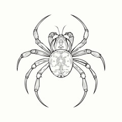 Detailed black spider vector illustration, perfect for Halloween, nature, and spooky design projects.