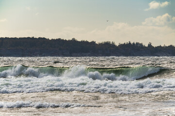 Turbulent waves crash ashore: a view of Estonia's Pakri Island from mainland Paldiski, a popular birdwatching destination.