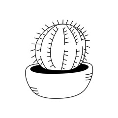 Vector illustration of a Echinopsis in the doodle style. Isolate on a white background