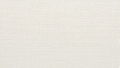 white canvas texture. white canvas fabric background