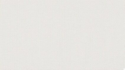 white canvas texture. white canvas fabric background