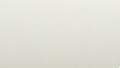white canvas texture. white canvas fabric background
