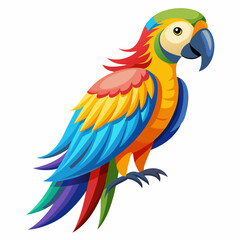 blue and yellow macaw