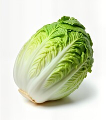 Fresh napa cabbage isolated on white background. Healthy green vegetable. Whole head. Raw food ingredient. Great for salads. Studio shot. Perfect for food blogs, recipe sites. Organic produce.