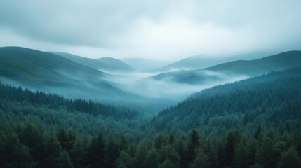 Misty Mountains and Serene Forest: A Breathtaking Landscape