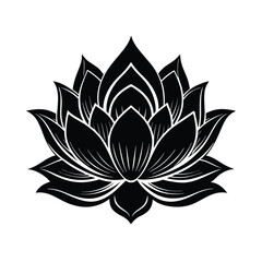 lotus flower vector