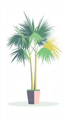 Obraz premium Potted Palm Tree: A Modern Botanical Illustration | Minimalist Plant Art | Tropical Vibes Home Decor
