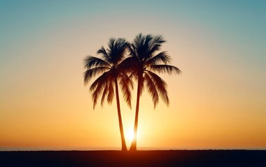 Vibrant orange sunset behind a group of tropical palm trees, casting long shadows on a serene beach, perfect for travel photography and tropical wallpapers