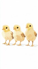 Trio of Baby Chicks: A Charming Illustration of Newborn Chickens