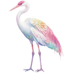 Obraz premium Bird Clipart Vector Illustration