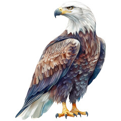 Fototapeta premium Bird Clipart Vector Illustration