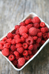 Bowl of raspberries and Japanese wineberries (Rubus phoenicolasius)