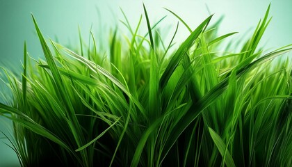 Naklejka premium a bunch of green grass