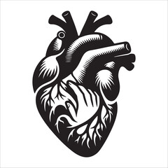 Human heart vector silhouette, icon