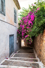 Naklejka premium Stone Pathway with Bougainvillea in Koroni