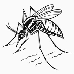 Mosquito silhouette. Black and white  illustration  Vector.
