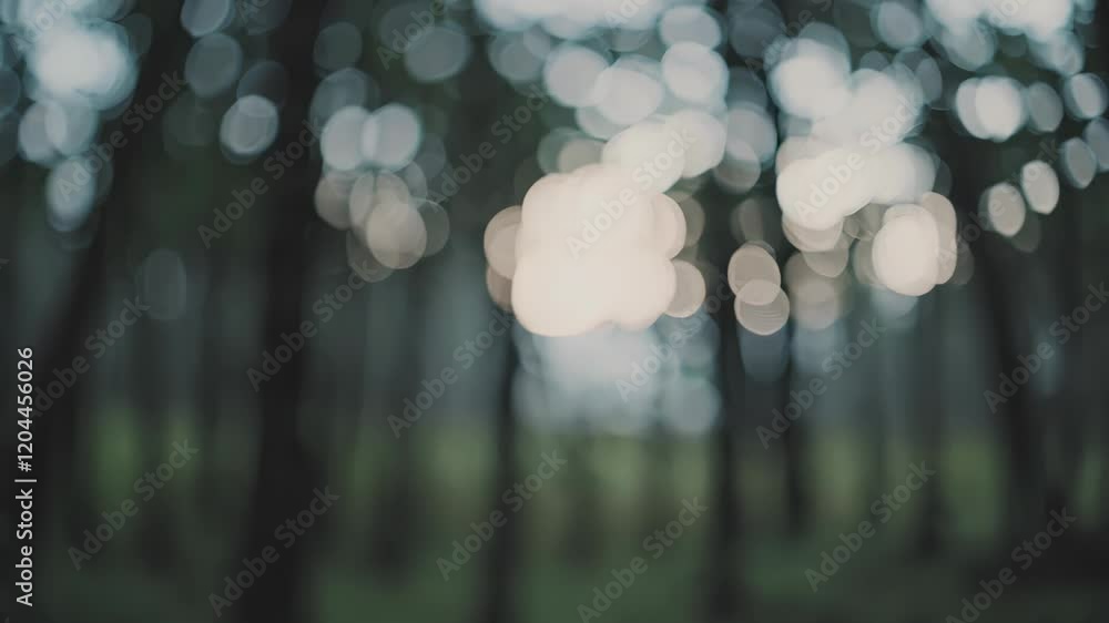 Poster soft-focus forest scene with bokeh light spots in the background, creating a serene and atmospheric 