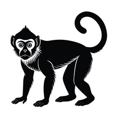 Obraz premium black and cartoon illustration of a cat