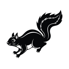Obraz premium squirrel on white background