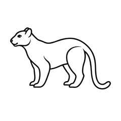 polar bear illustration