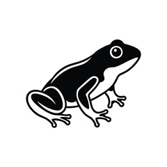 frog on white background