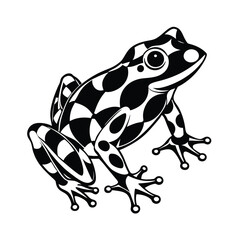 frog on white