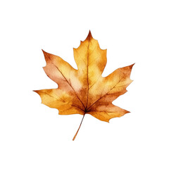 Obraz premium Autumn Foliage Clipart Vector Illustration