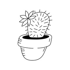 Vector illustration of a Mammillaria in the doodle style. Isolate on a white background