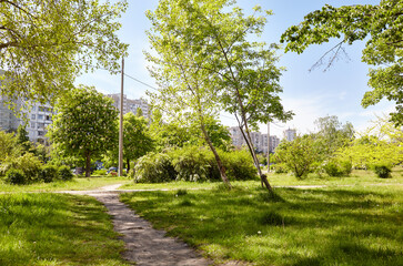 Walkway surrounded by trees and lawns in Kyiv, Europe. Recreation place in the city park