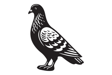 Pigeon Silhouette