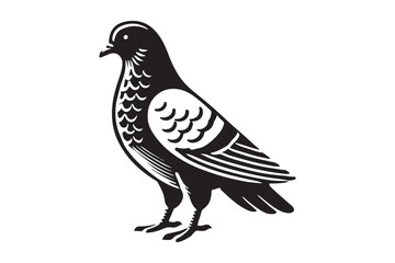 Pigeon Silhouette