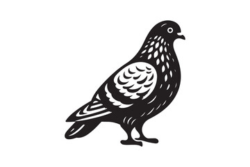 Pigeon Silhouette