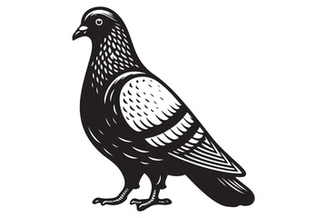 Pigeon Silhouette