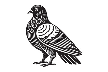 Pigeon Silhouette