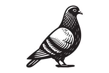 Pigeon Silhouette